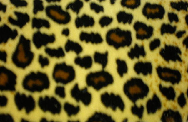 9.Baby Cheetah Velvet